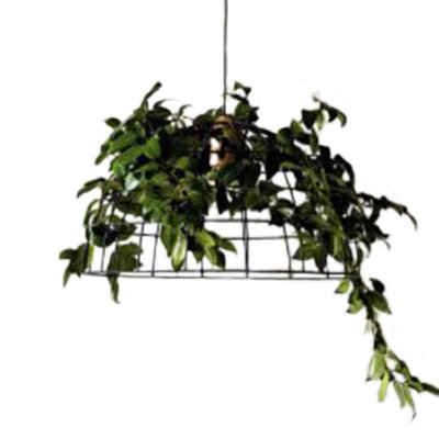 ="Светильник 1635.400 Svetilnik eko podvesnoi art.Eco005 kypit v internet-magazine www.audur.ru za 8 986 ryb. s dostavkoi <h1 style="text-align: center"><span style="font-family: Arial; font-size: 24px;"><span style="font-size: 24px;"></span>Светильник эко подвесной арт. Eco005</span><span style="font-family: Arial; font-size: 24px;"></span></h1>
<p style="text-align: justify">Светильник эко подвесной арт.Eco005 смело можно назвать дизайнерским. Светильник эко подвесной арт.Eco005 предназначен для крепления под патрон Е27, 1х40W. Возможно изготовление светильника эко подвесного арт.Eco005 на заказ по вашим размерам. Срок изготовления 10 дней. Производство: Россия.</p>