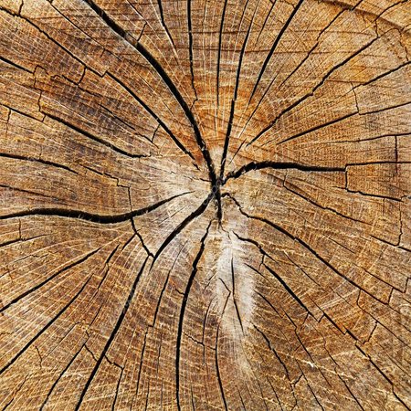 material_derevo MATERIALI DLYa SVETILNIKOV ДЕРЕВО